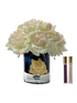 IMAGE for product variant SKU LTWB02
