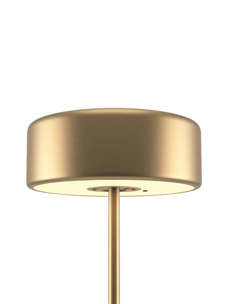 IMAGE for product variant SKU MOD229TL-L3G3K2