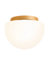 IMAGE for product variant SKU MOD270CL-01G