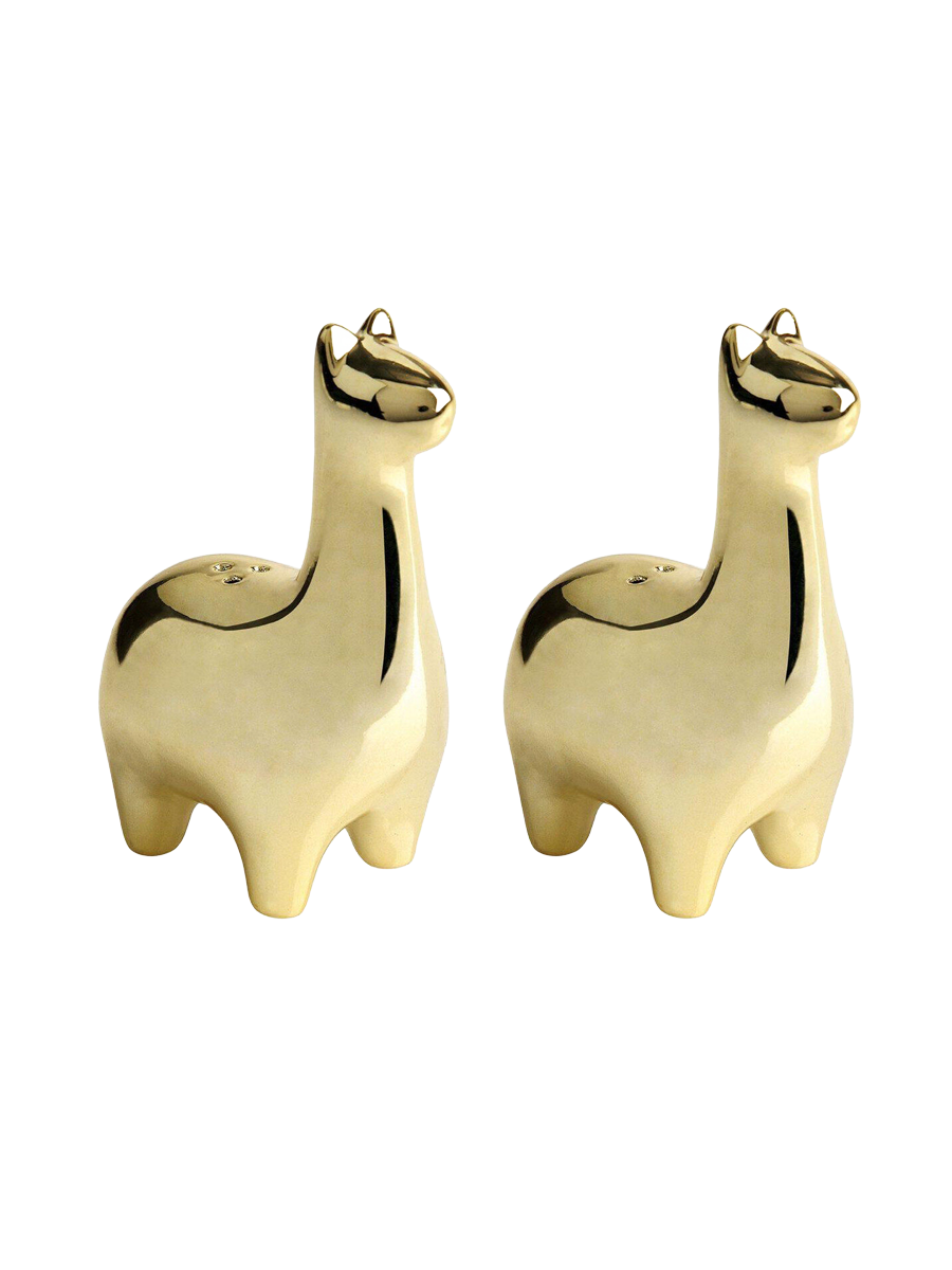 
Ensemble salière et poivrière 2 pièces « Lama »
