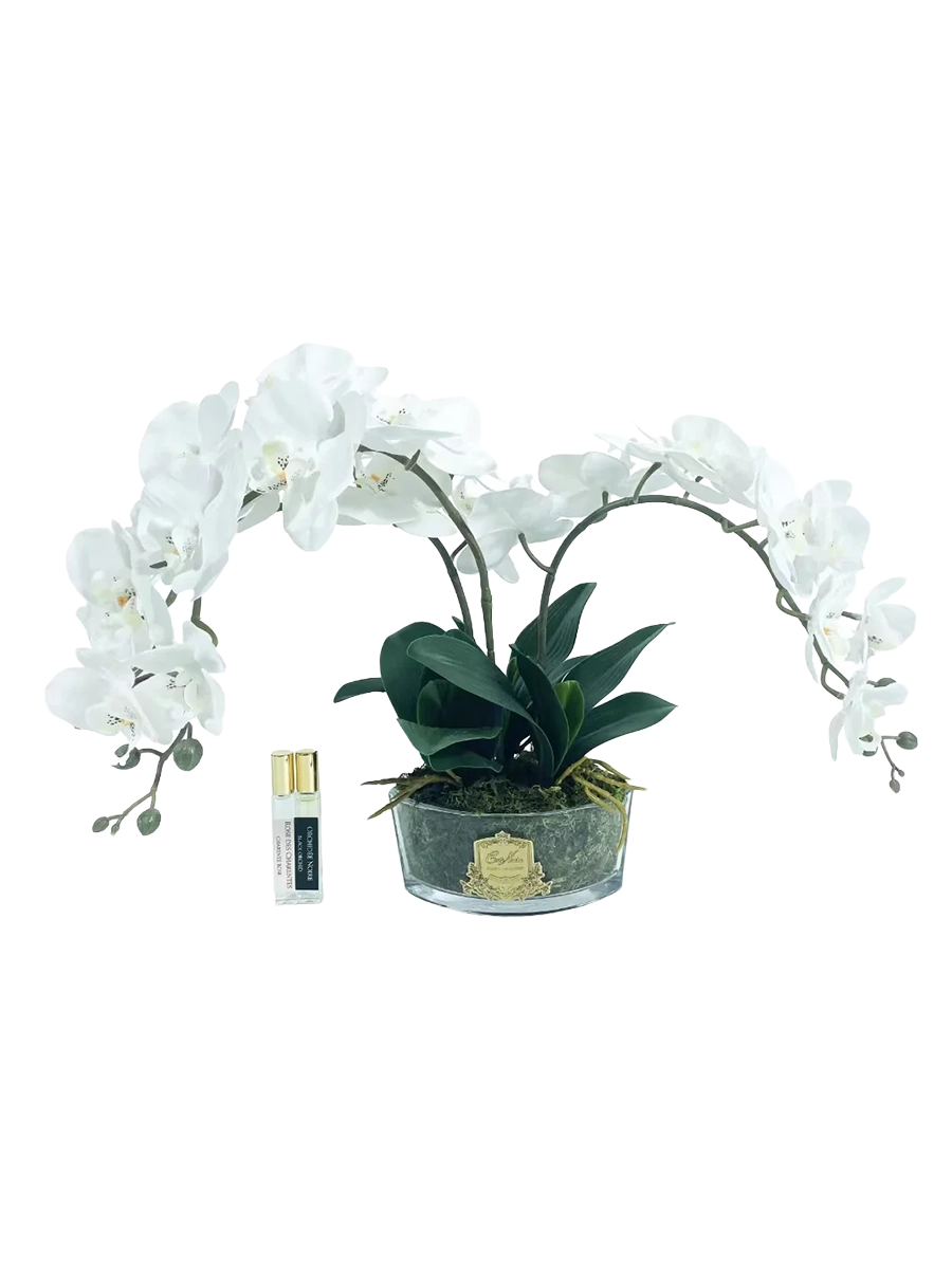 
Diffuseur de parfum d'ambiance de luxe « Luxury Oval Orchid Bouquet » - Blanc et or
