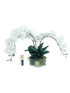 IMAGE for product variant SKU OOV01