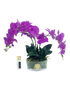 IMAGE for product variant SKU OOV09