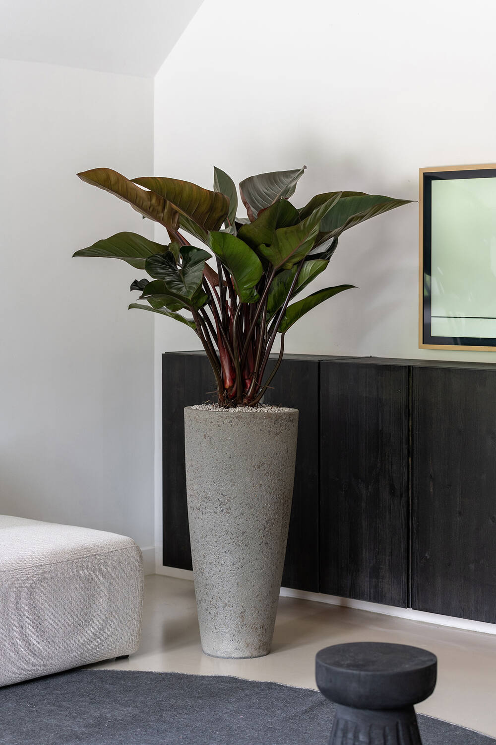 
Vaso per fiori di alta qualità per interni/esterni „Cement & Stone Dax“ - Grigio Diorite / Ø 47 x Altezza 100 cm