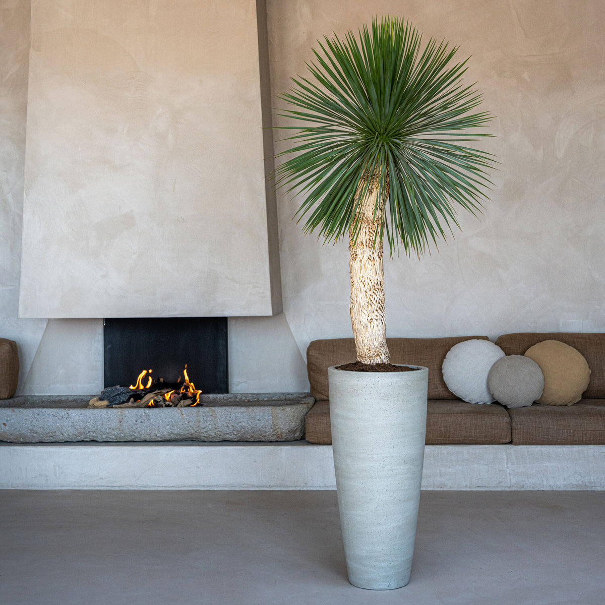 
Vaso per fiori di alta qualità per interni/esterni „Cement & Stone Dax“ - Beige Lavato / Ø 37 x Altezza 80 cm