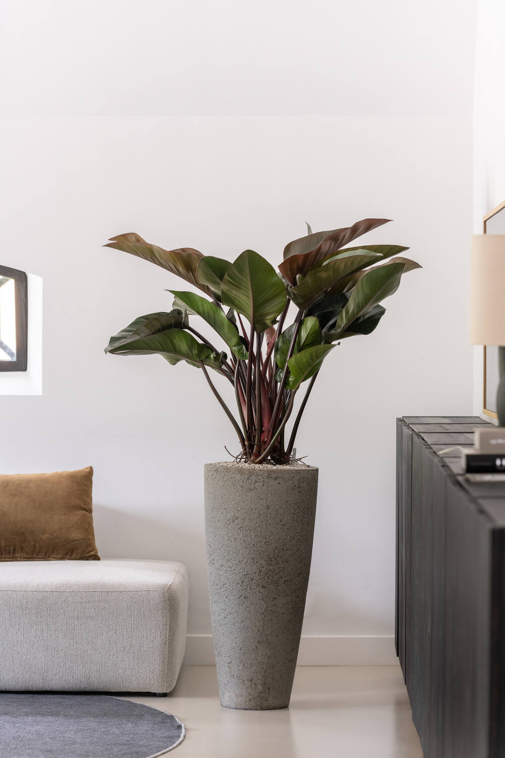 
Vaso per fiori di alta qualità per interni/esterni „Cement & Stone Dax“ - Grigio Diorite / Ø 37 x Altezza 80 cm