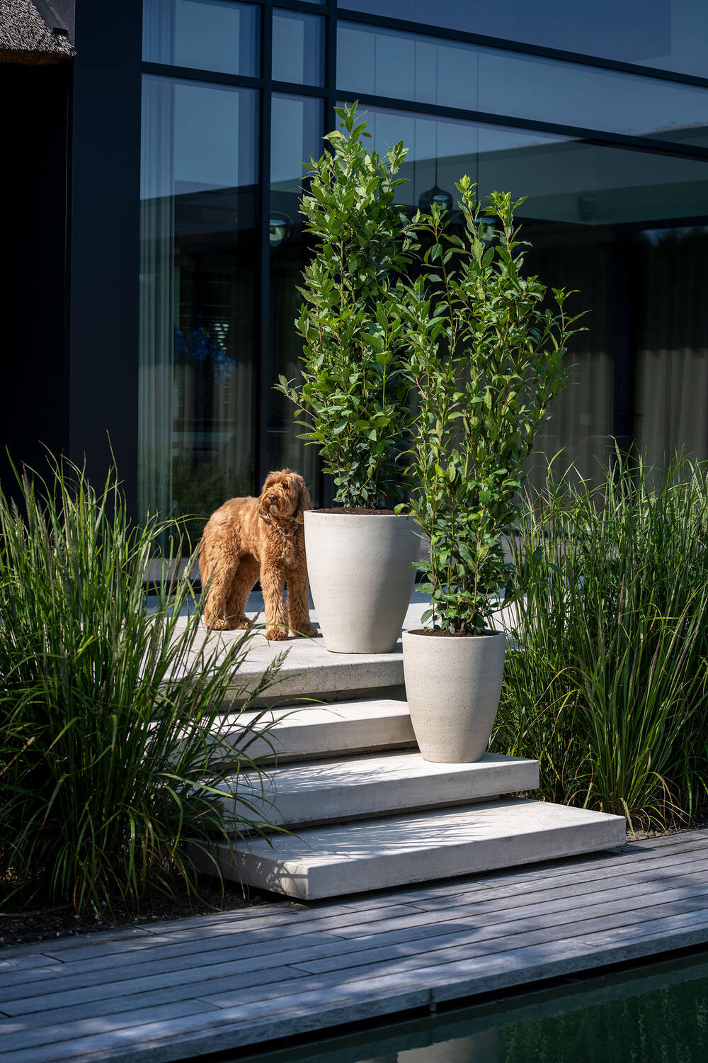 
Vaso per fiori di alta qualità per interni/esterni „Cement & Stone Ben“ - Beige Lavato