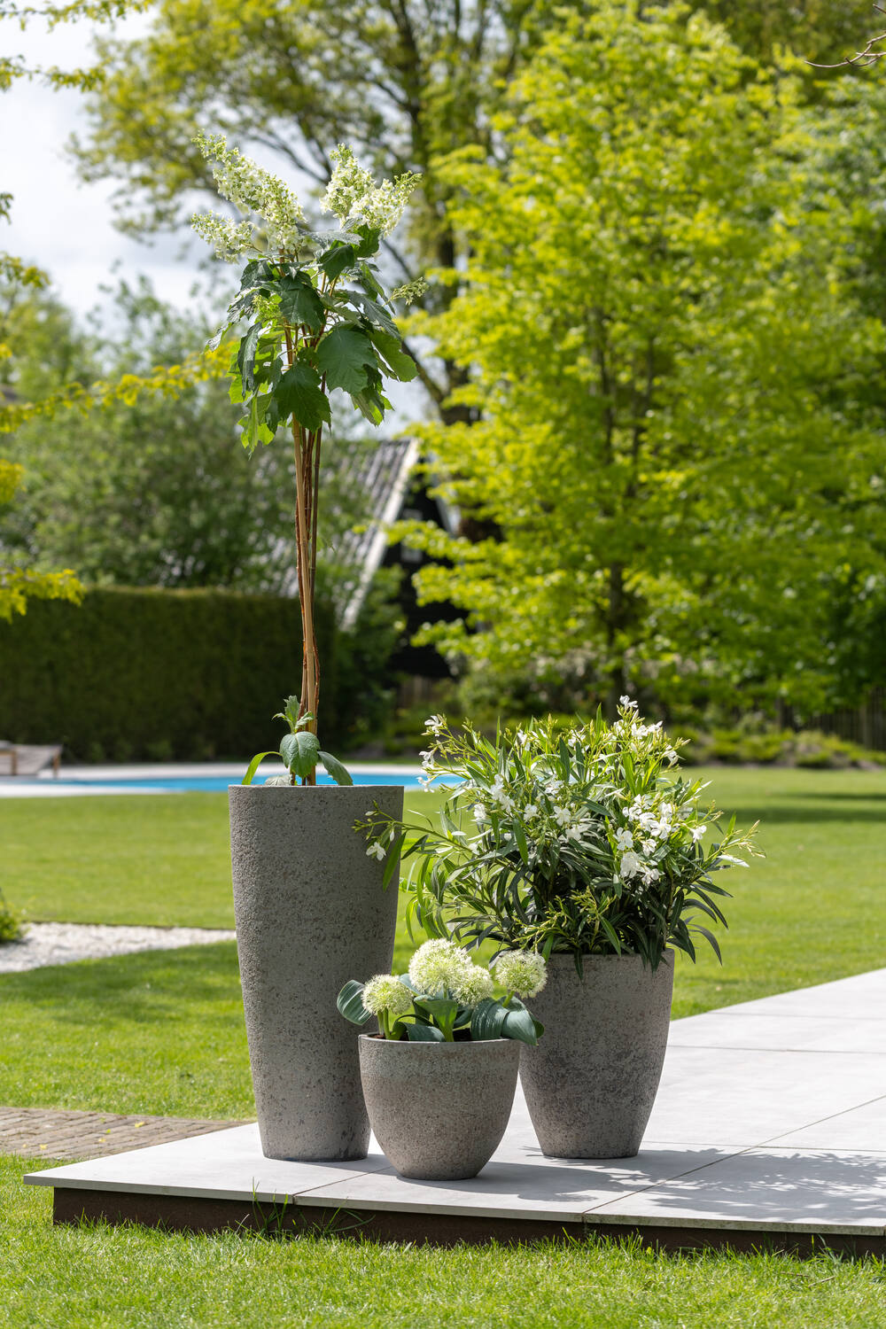 
Vaso per fiori di alta qualità per interni/esterni „Cement & Stone Ben“ - Grigio Diorite