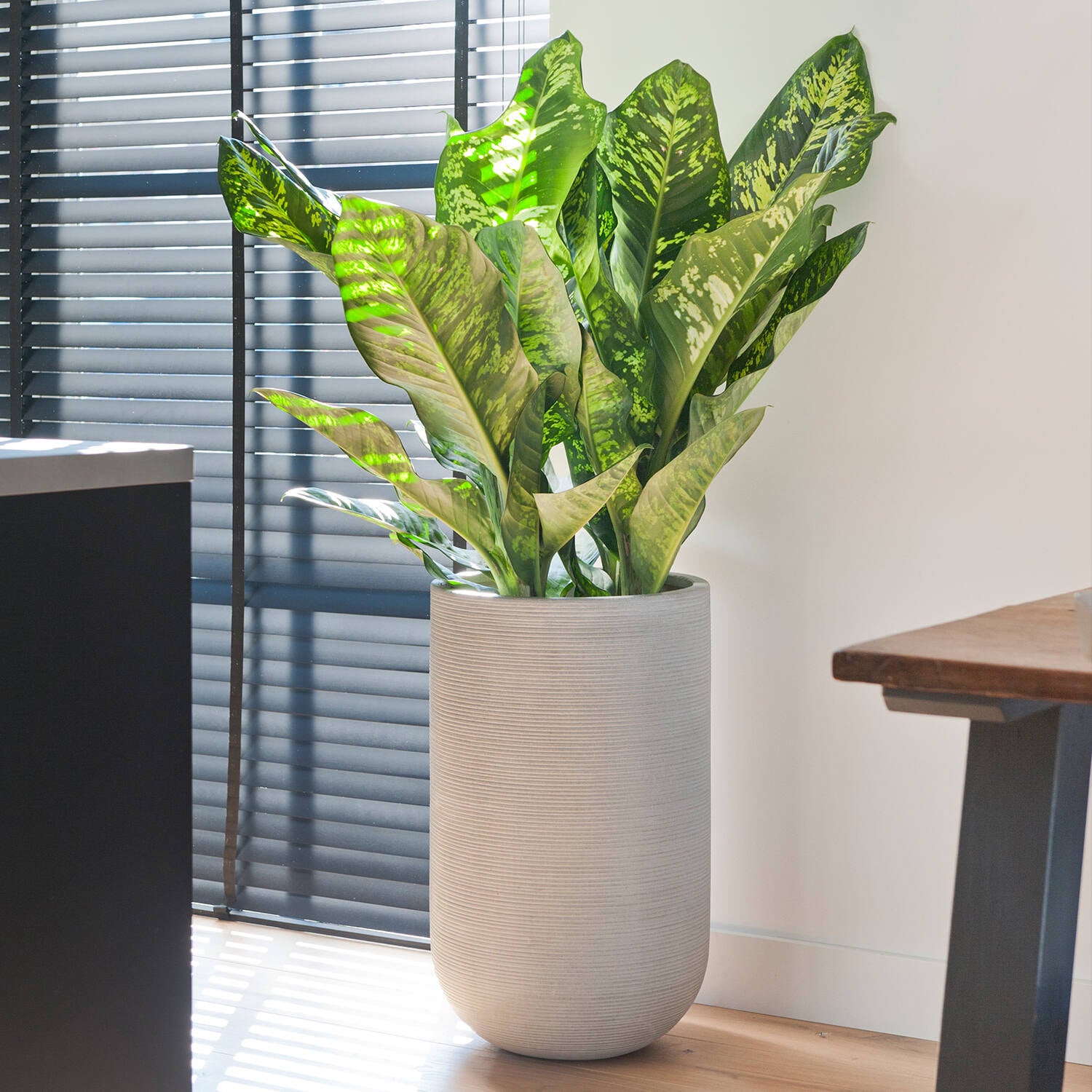 
High-Quality Indoor/Outdoor Planter "Ridged Cody High" - Light gray