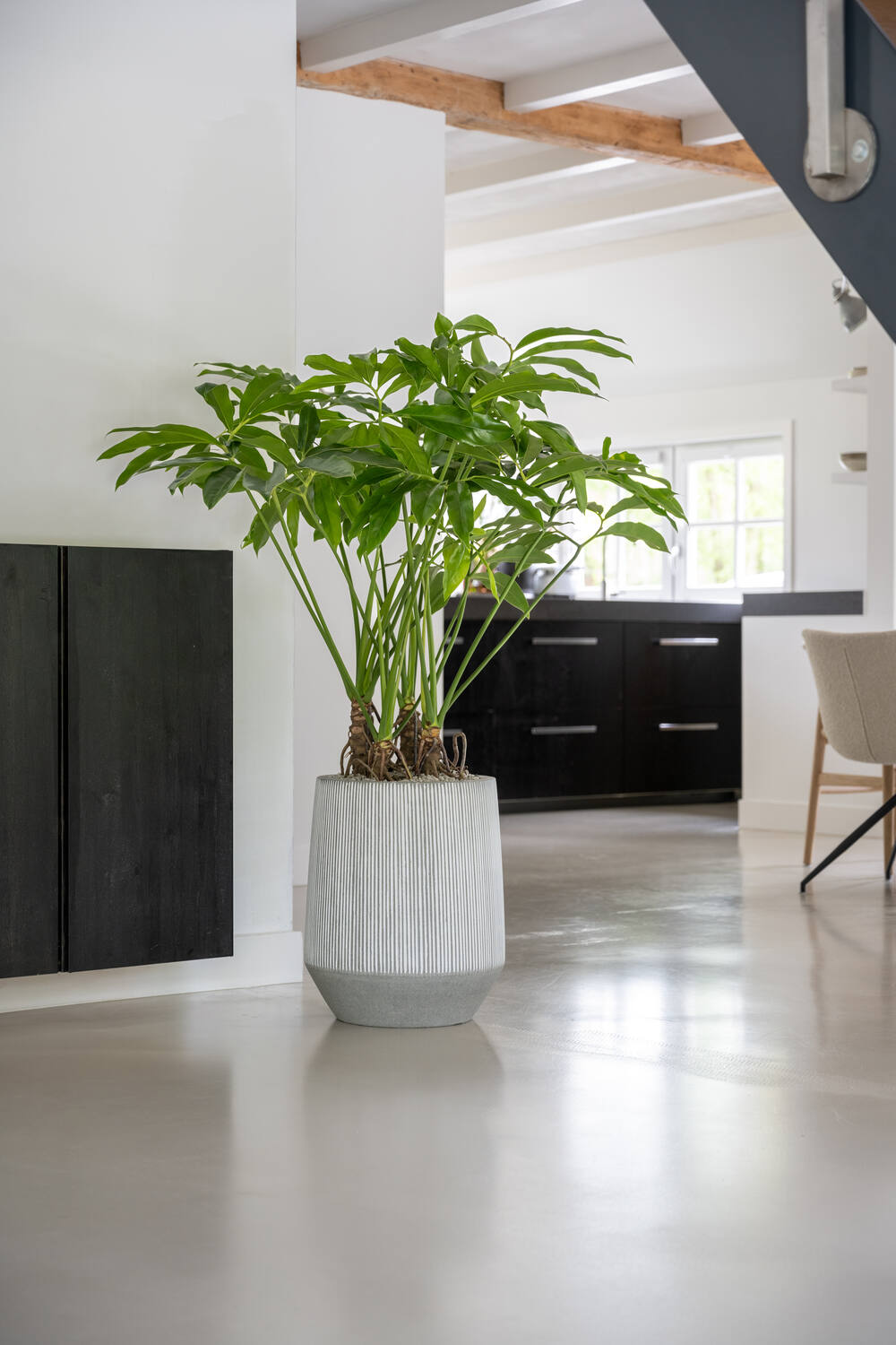 
Premium Indoor/Outdoor Flower Pot "Harith White Stripe"