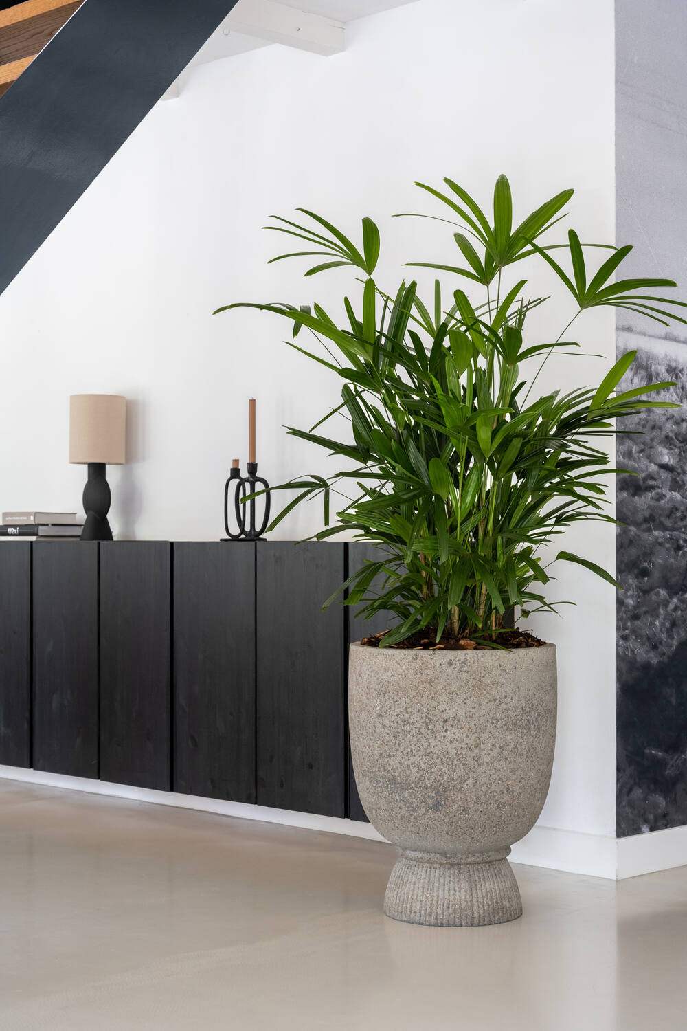 
Vaso per fiori di alta qualità per interni/esterni „Cement & Stone Jola“ - Grigio Diorite