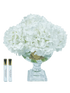 IMAGE for product variant SKU PHB21M