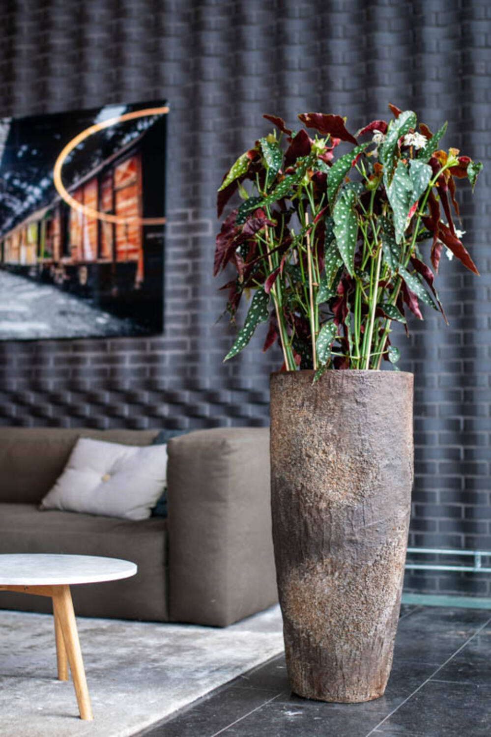 
High-quality indoor/outdoor flower pot "Oyster Dax" - Imperial Brown / 36 x 80 cm diameter