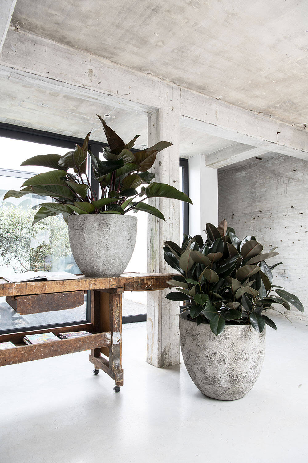 
High-Quality Indoor/Outdoor Plant Pot "Oyster Jesslyn" - Imperial White / Ø 60 x 52 cm