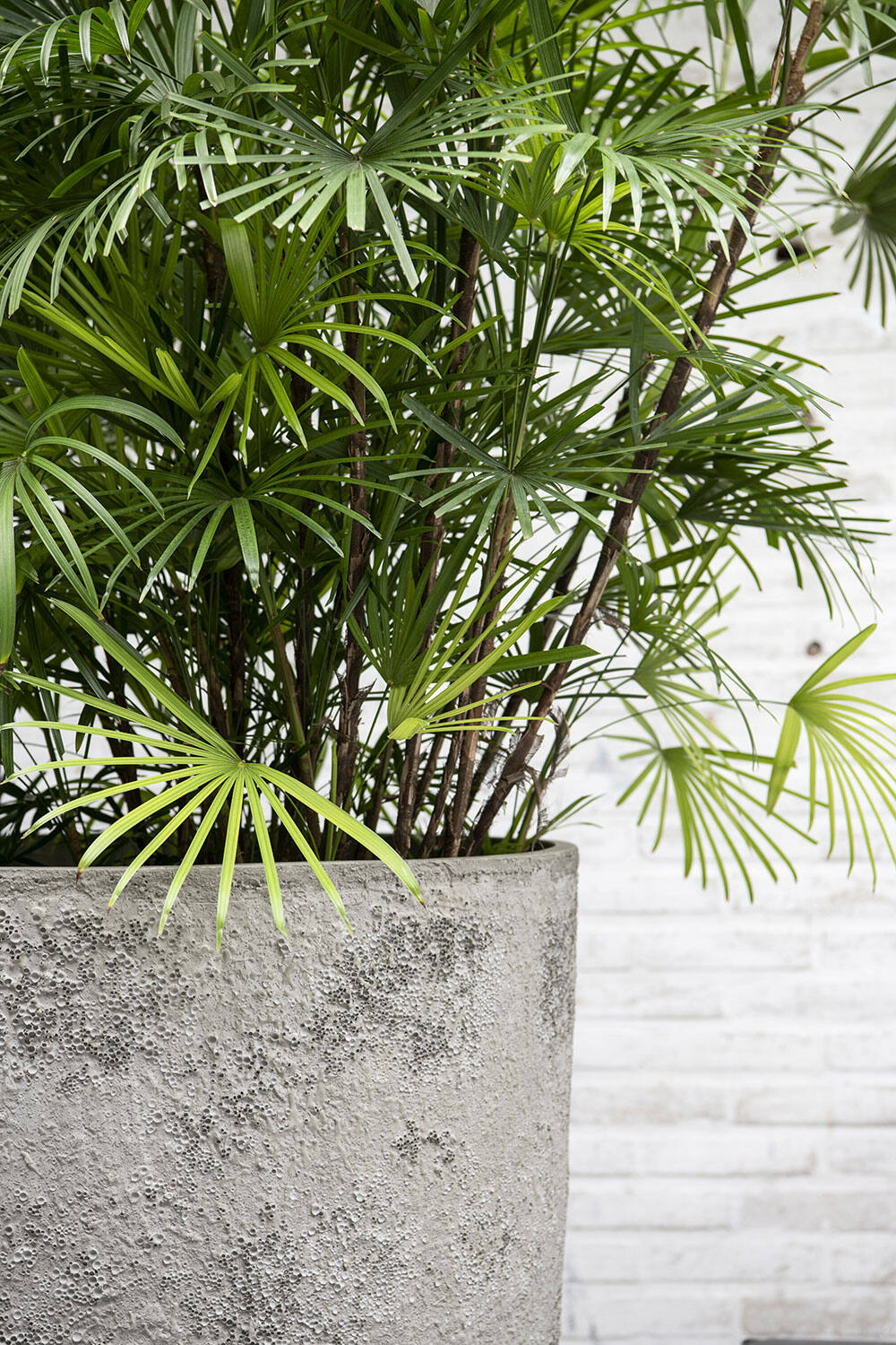 
High-quality Indoor/Outdoor Planter "Oyster Oscar XL" - Imperial White
