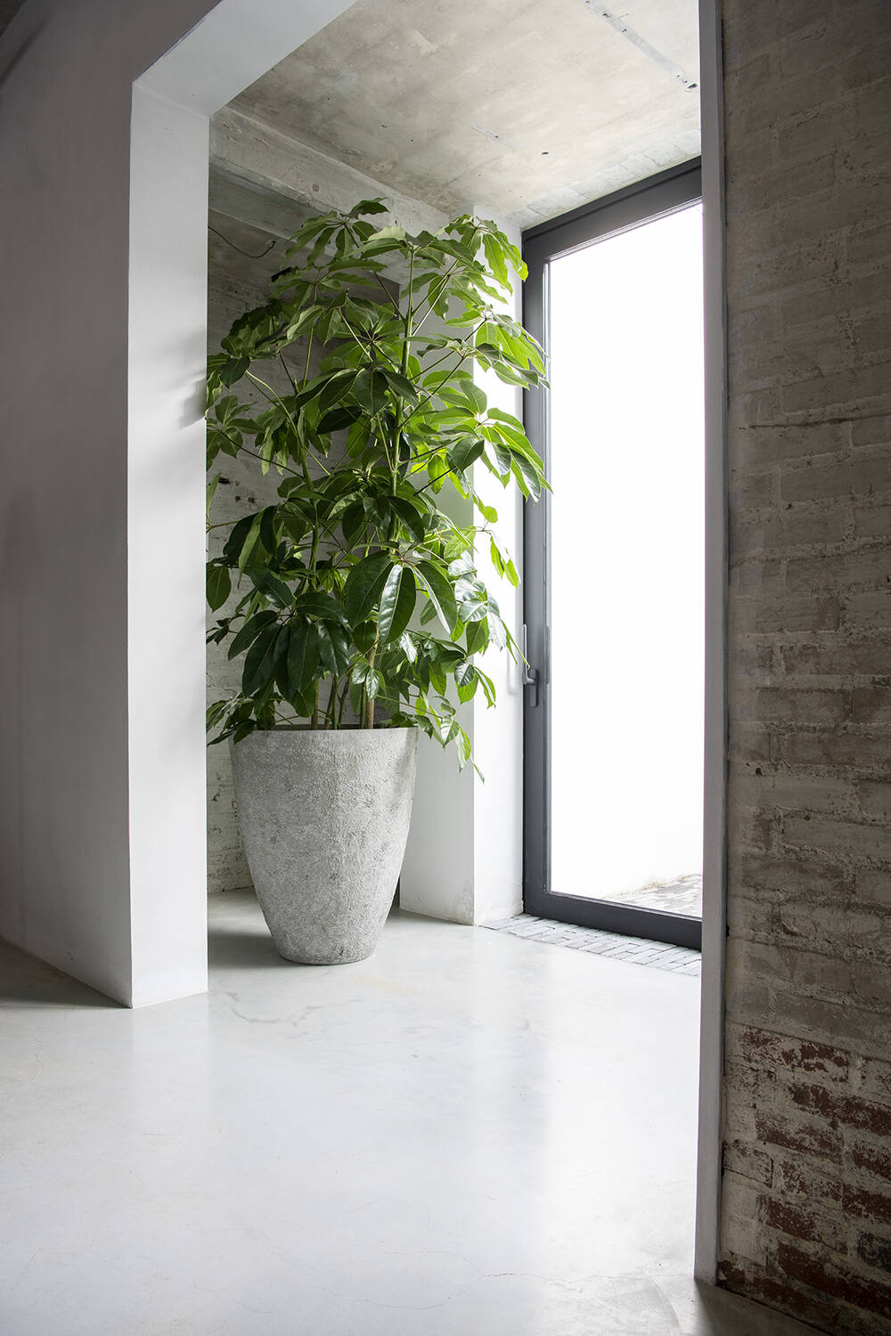 
High-Quality Indoor/Outdoor Plant Pot "Oyster Bernd" - Imperial White / Ø 66 x 74 cm