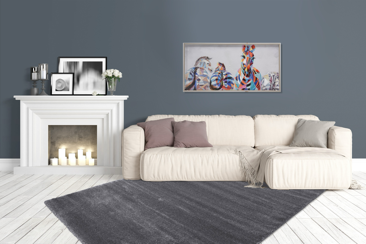 
Designer High-Pile Rug "Softtouch" - Dark Grey - 120 x 170 cm