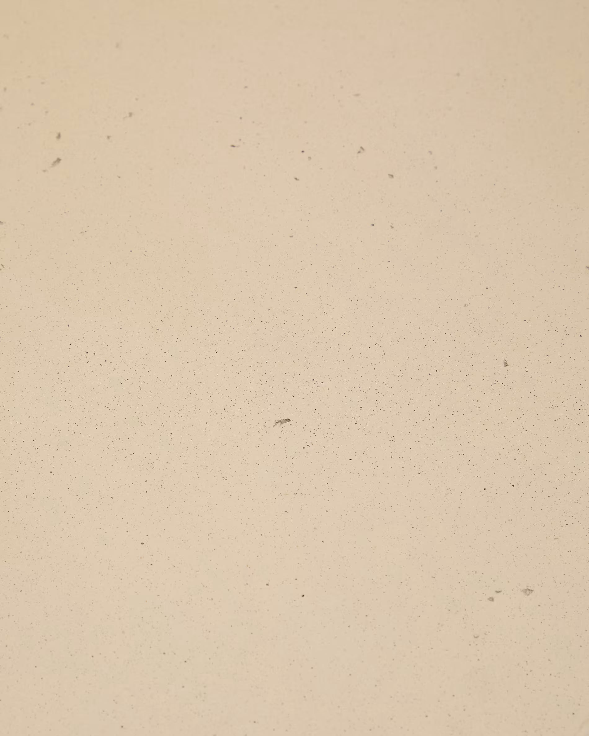 IMAGE for product variant SKU T00048PR39