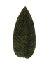 IMAGE for product variant SKU VEA401-FRT