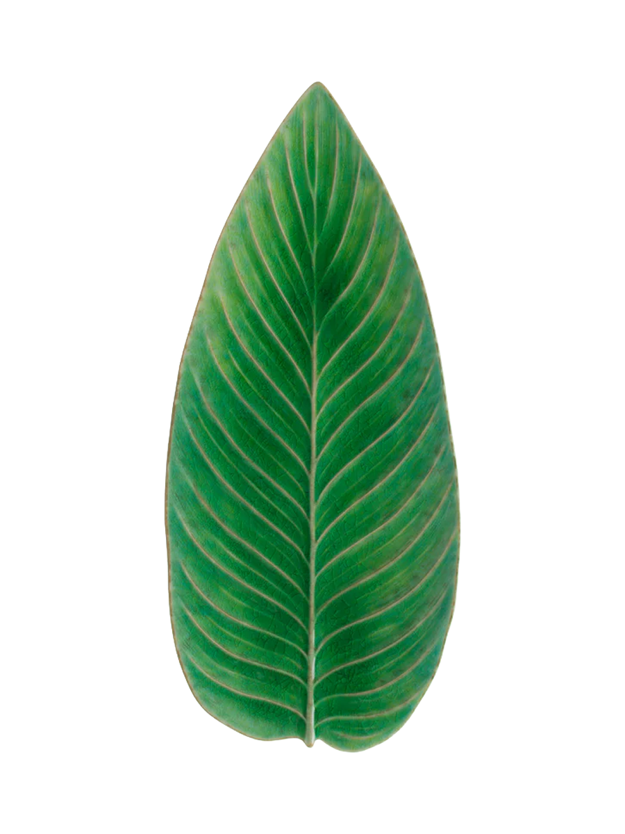 
Handmade Serving Platter "Riviera Strelizia Leaf" - Tomato