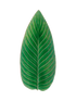 IMAGE for product variant SKU VEA401-TMT