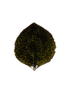 IMAGE for product variant SKU VEP171-FRT