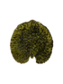 IMAGE for product variant SKU VEP181-FRT