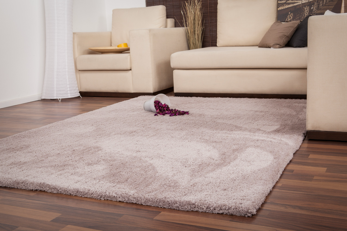 
Tapis design à poils longs de haute qualité « Velvet 500 » - Beige - 80 x 150 cm