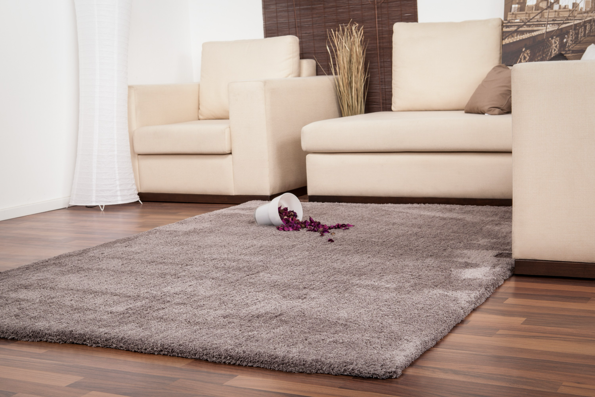 
Tapis design moelleux de haute qualité « Velvet 500 » – Platine - 80 x 150 cm