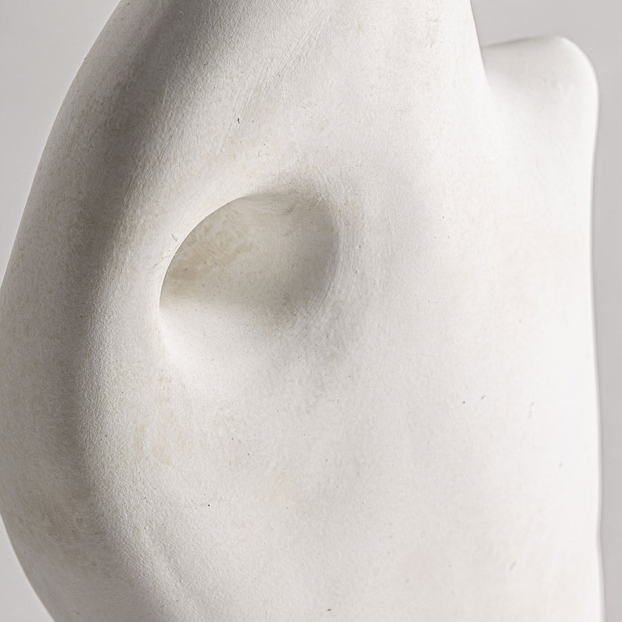 IMAGE for product variant SKU Vical-33646