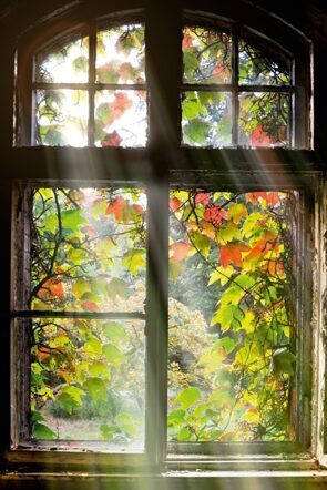 Acrylic glass picture "Window with autumn leaves" 120 x 80 cm